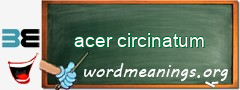 WordMeaning blackboard for acer circinatum